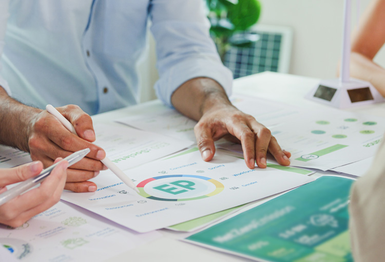 wskaźnik EP - dokument